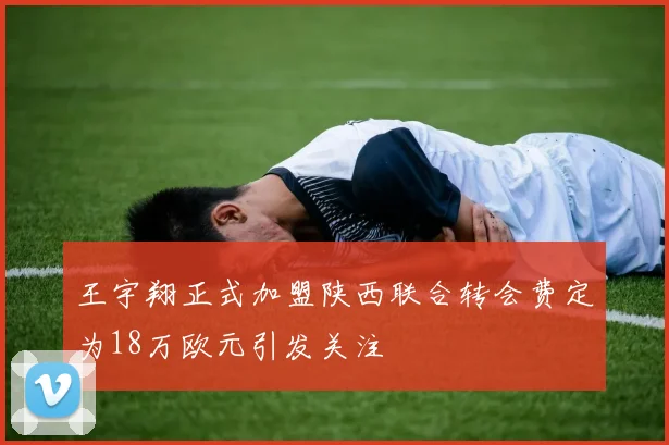 王宇翔正式加盟陕西联合转会费定为18万欧元引发关注