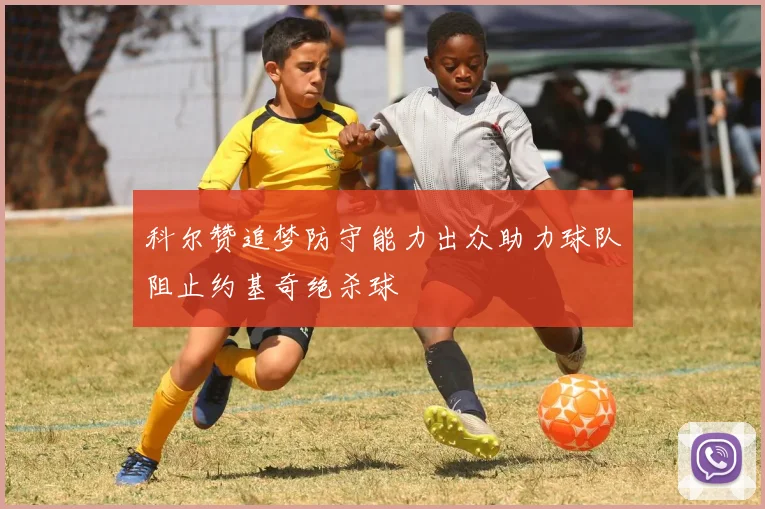 科尔赞追梦防守能力出众助力球队阻止约基奇绝杀球